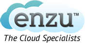 enzu-logo-7454605